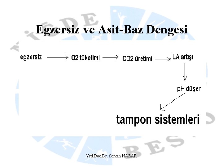 Egzersiz ve Asit-Baz Dengesi Yrd. Doç. Dr. Serkan HAZAR 