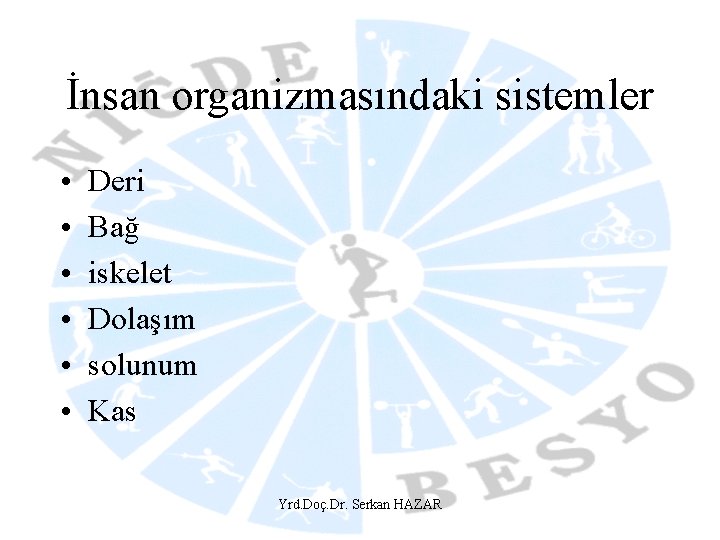 İnsan organizmasındaki sistemler • • • Deri Bağ iskelet Dolaşım solunum Kas Yrd. Doç.