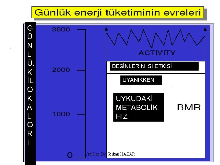 G Ü N L Ü. K İL O K A L O R İ