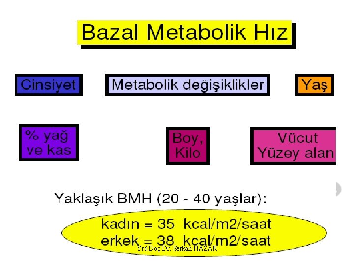 Yrd. Doç. Dr. Serkan HAZAR 