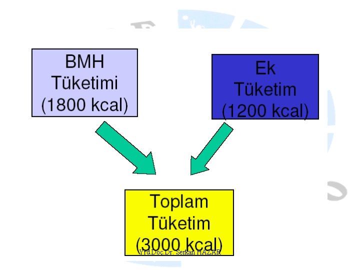 Yrd. Doç. Dr. Serkan HAZAR 