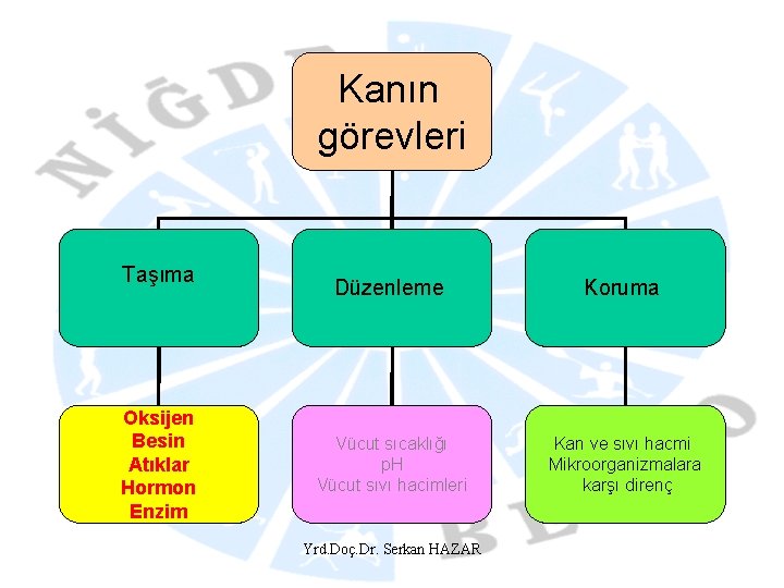 Kanın görevleri Taşıma Oksijen Besin Atıklar Hormon Enzim Düzenleme Koruma Vücut sıcaklığı p. H