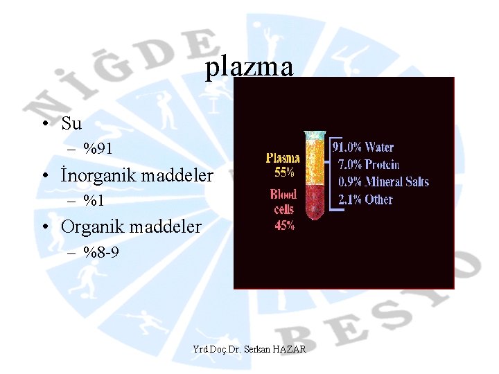 plazma • Su – %91 • İnorganik maddeler – %1 • Organik maddeler –