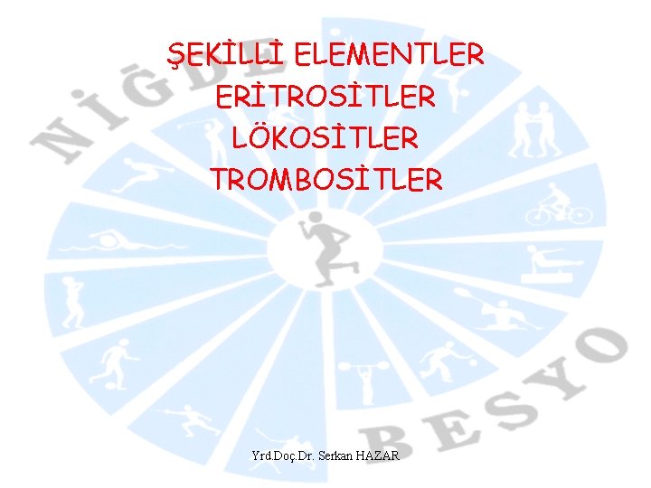 ŞEKİLLİ ELEMENTLER ERİTROSİTLER LÖKOSİTLER TROMBOSİTLER Yrd. Doç. Dr. Serkan HAZAR 