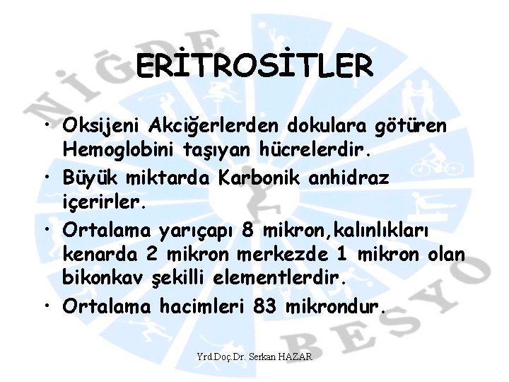 ERİTROSİTLER • Oksijeni Akciğerlerden dokulara götüren Hemoglobini taşıyan hücrelerdir. • Büyük miktarda Karbonik anhidraz