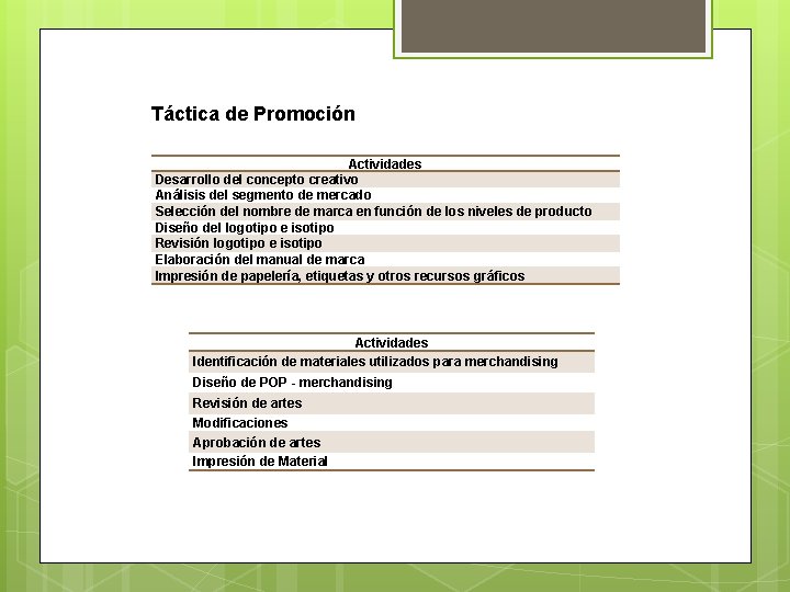 Táctica de Promoción Actividades Desarrollo del concepto creativo Análisis del segmento de mercado Selección