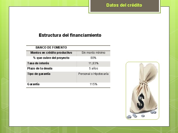 Datos del crédito Estructura del financiamiento BANCO DE FOMENTO Montos en crédito productivo Sin