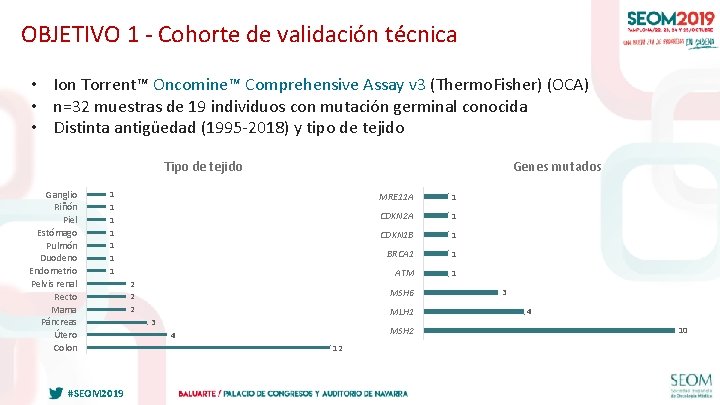 OBJETIVO 1 - Cohorte de validación técnica • Ion Torrent™ Oncomine™ Comprehensive Assay v