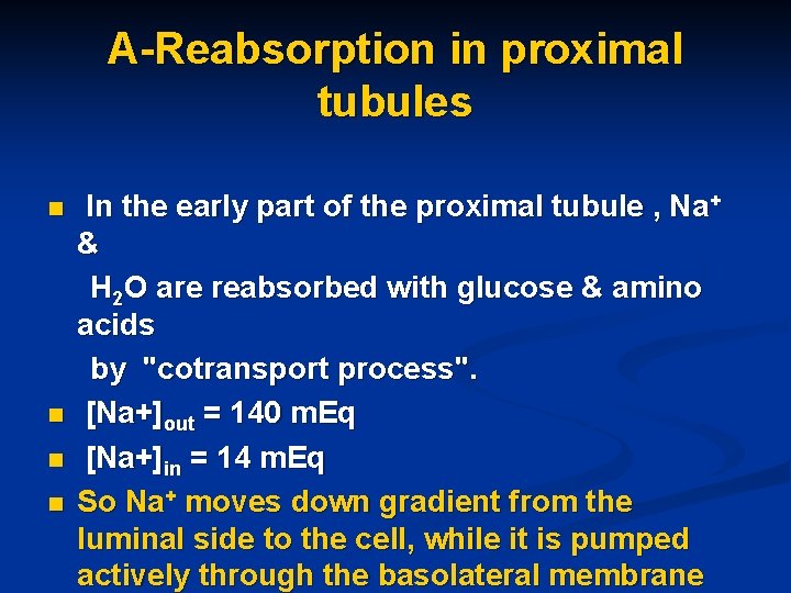 A-Reabsorption in proximal tubules n n In the early part of the proximal tubule