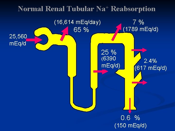 Normal Renal Tubular Na+ Reabsorption 7% (16, 614 m. Eq/day) 25, 560 m. Eq/d