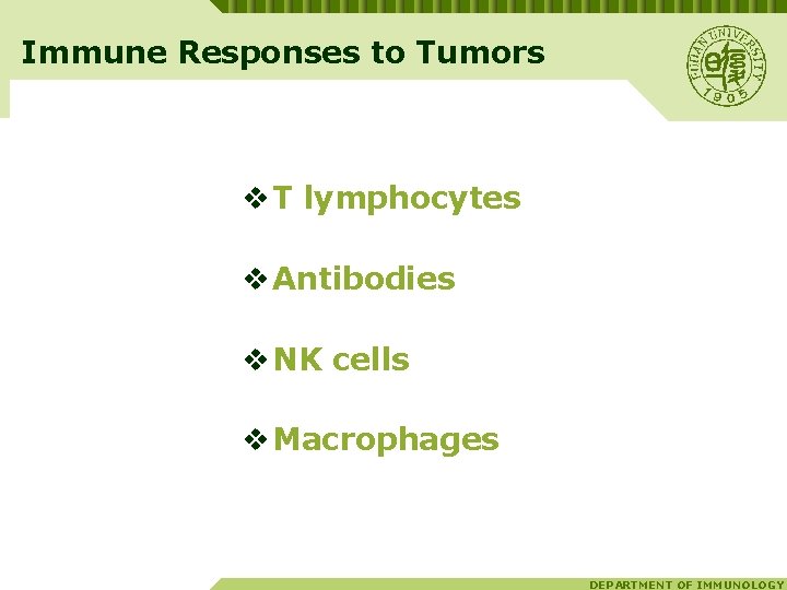 Immune Responses to Tumors v T lymphocytes v Antibodies v NK cells v Macrophages