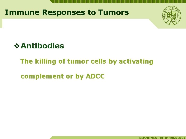 Immune Responses to Tumors v Antibodies The killing of tumor cells by activating complement