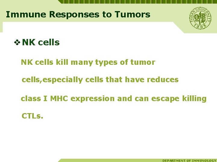 Immune Responses to Tumors v NK cells kill many types of tumor cells, especially