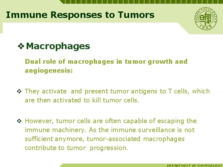 Immune Responses to Tumors v Macrophages Dual role of macrophages in tumor growth and
