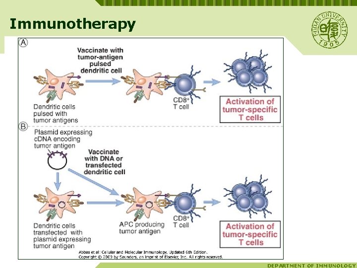 Immunotherapy DEPARTMENT OF IMMUNOLOGY 