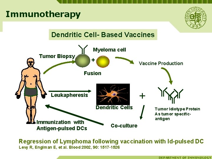 Immunotherapy Dendritic Cell- Based Vaccines Myeloma cell Tumor Biopsy + Vaccine Production Fusion +
