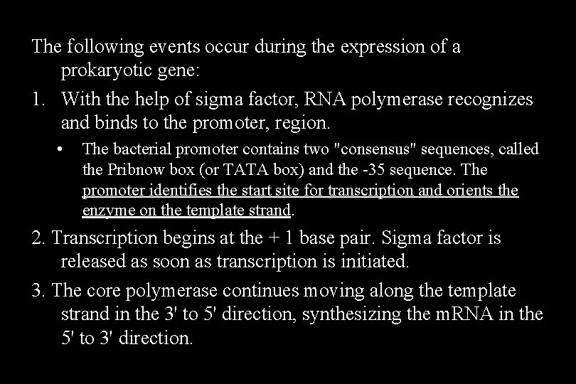 The following events occur during the expression of a prokaryotic gene: 1. With the The following events occur during the expression of a prokaryotic gene: 1. With the