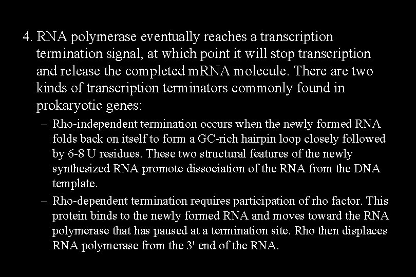 4. RNA polymerase eventually reaches a transcription termination signal, at which point it will 4. RNA polymerase eventually reaches a transcription termination signal, at which point it will