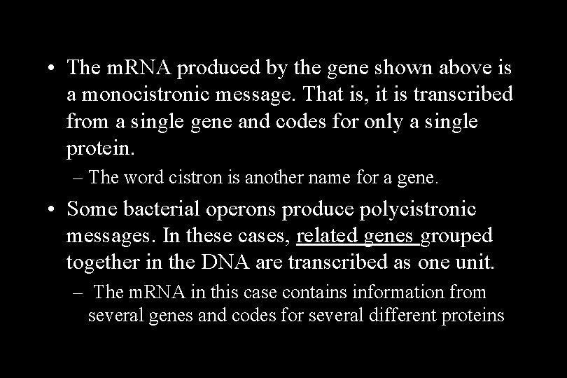 • The m. RNA produced by the gene shown above is a monocistronic • The m. RNA produced by the gene shown above is a monocistronic