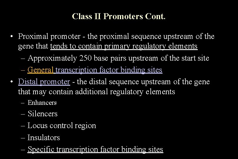Class II Promoters Cont. • Proximal promoter - the proximal sequence upstream of the Class II Promoters Cont. • Proximal promoter - the proximal sequence upstream of the