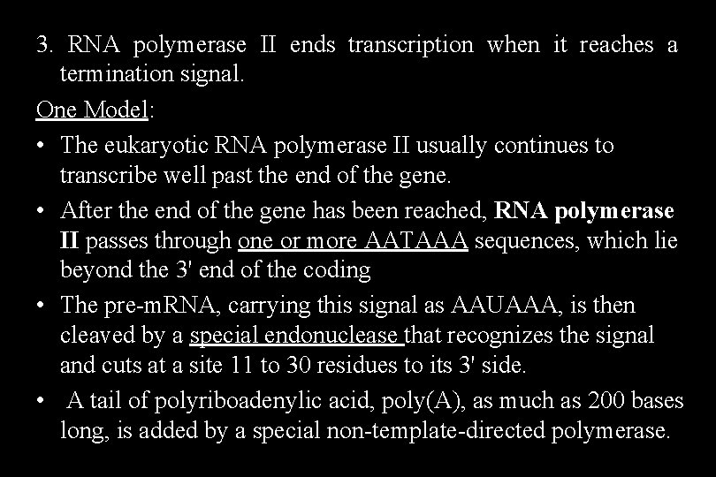 3. RNA polymerase II ends transcription when it reaches a termination signal. One Model: 3. RNA polymerase II ends transcription when it reaches a termination signal. One Model: