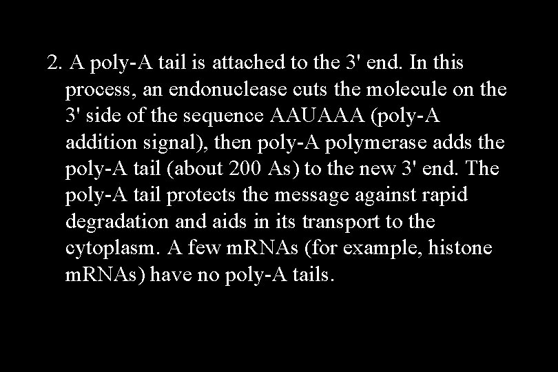 2. A poly-A tail is attached to the 3' end. In this process, an 2. A poly-A tail is attached to the 3' end. In this process, an