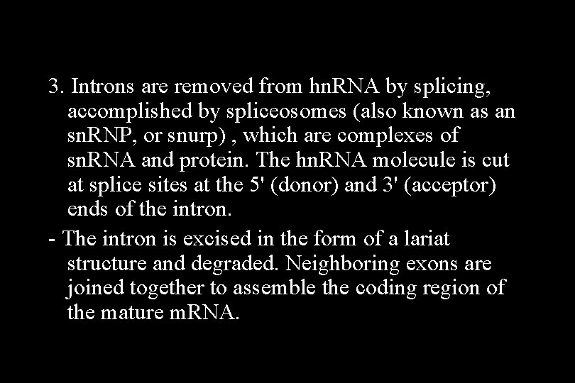 3. Introns are removed from hn. RNA by splicing, accomplished by spliceosomes (also known 3. Introns are removed from hn. RNA by splicing, accomplished by spliceosomes (also known