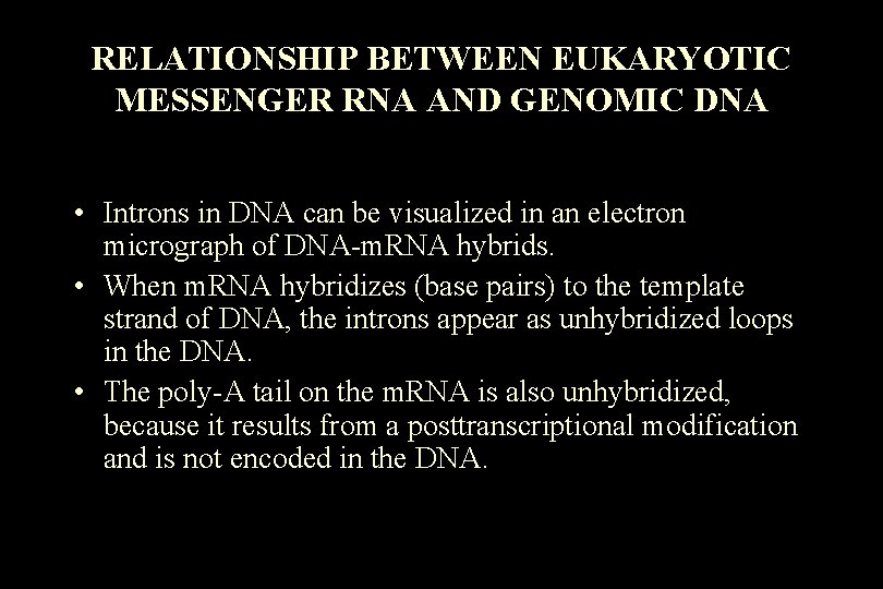 RELATIONSHIP BETWEEN EUKARYOTIC MESSENGER RNA AND GENOMIC DNA • Introns in DNA can be RELATIONSHIP BETWEEN EUKARYOTIC MESSENGER RNA AND GENOMIC DNA • Introns in DNA can be