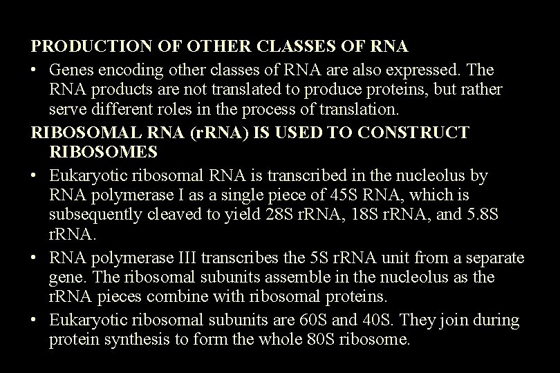 PRODUCTION OF OTHER CLASSES OF RNA • Genes encoding other classes of RNA are PRODUCTION OF OTHER CLASSES OF RNA • Genes encoding other classes of RNA are
