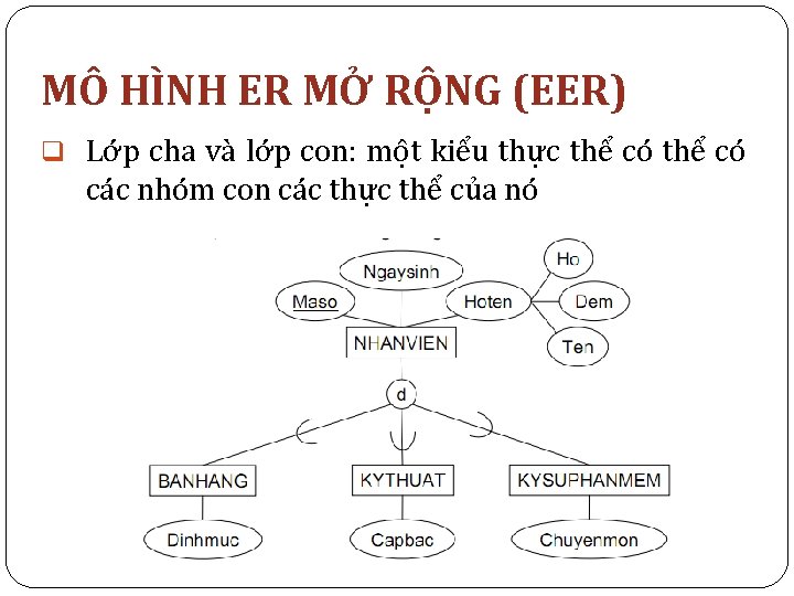 MÔ HÌNH ER MỞ RỘNG (EER) q Lớp cha và lớp con: một kiểu