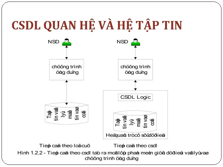 CSDL QUAN HỆ VÀ HỆ TẬP TIN 