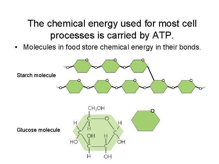 The chemical energy used for most cell processes is carried by ATP. • Molecules