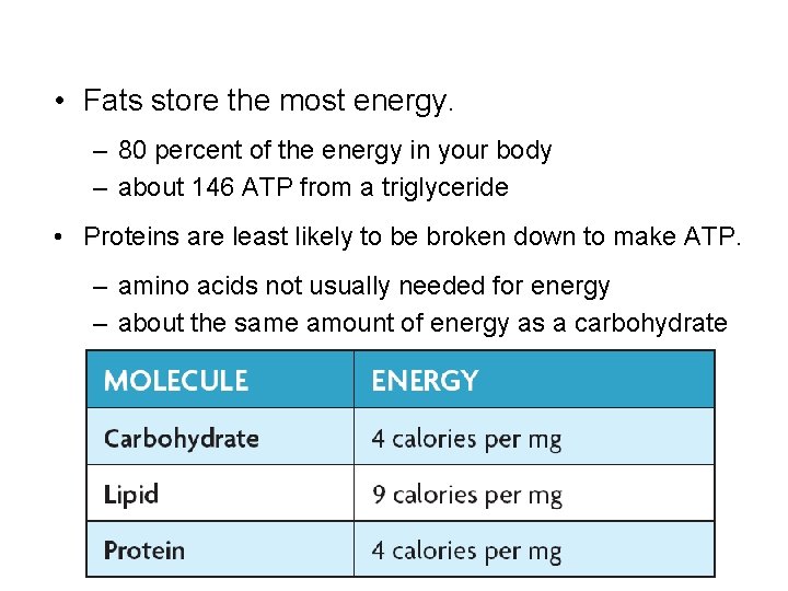  • Fats store the most energy. – 80 percent of the energy in