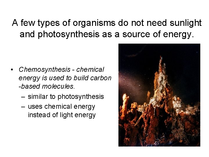 A few types of organisms do not need sunlight and photosynthesis as a source