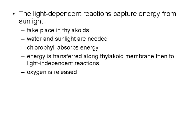  • The light-dependent reactions capture energy from sunlight. – – take place in