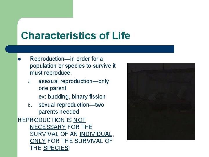 Characteristics of Life Reproduction—in order for a population or species to survive it must