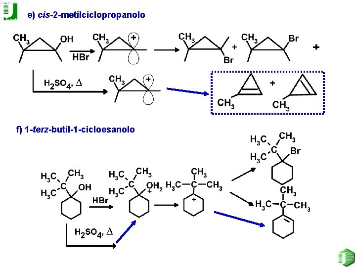 e) cis-2 -metilciclopropanolo f) 1 -terz-butil-1 -cicloesanolo 