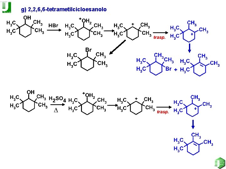 g) 2, 2, 6, 6 -tetrametilcicloesanolo 