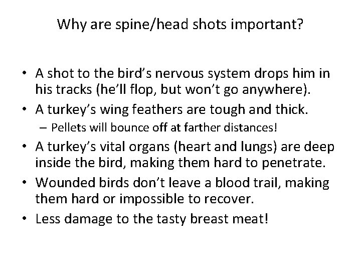Why are spine/head shots important? • A shot to the bird’s nervous system drops Why are spine/head shots important? • A shot to the bird’s nervous system drops