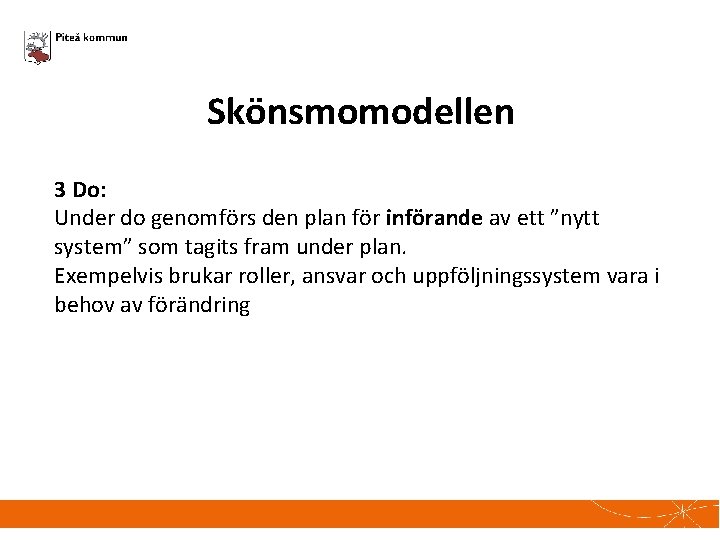 Skönsmomodellen 3 Do: Under do genomförs den plan för införande av ett ”nytt system”