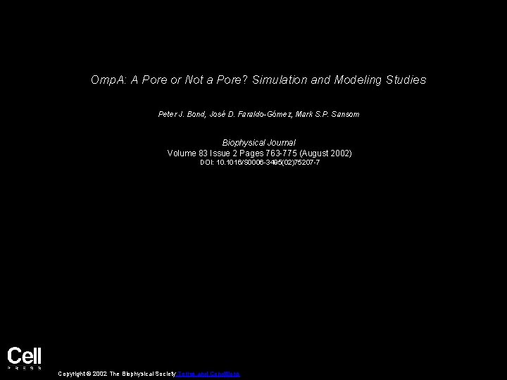 Omp. A: A Pore or Not a Pore? Simulation and Modeling Studies Peter J.