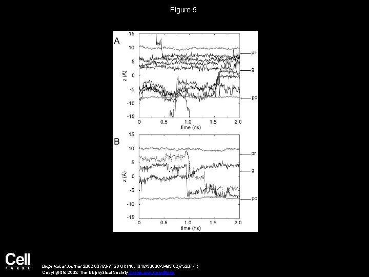 Figure 9 Biophysical Journal 2002 83763 -775 DOI: (10. 1016/S 0006 -3495(02)75207 -7) Copyright