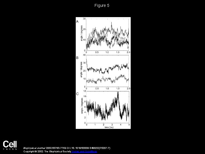 Figure 5 Biophysical Journal 2002 83763 -775 DOI: (10. 1016/S 0006 -3495(02)75207 -7) Copyright