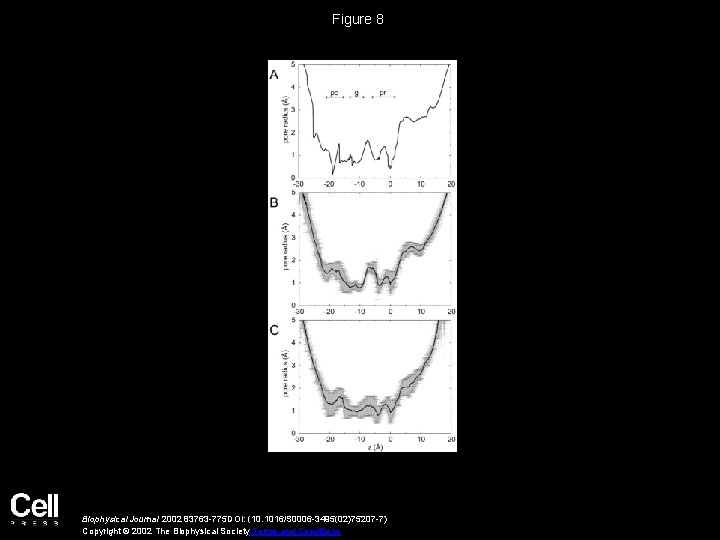 Figure 8 Biophysical Journal 2002 83763 -775 DOI: (10. 1016/S 0006 -3495(02)75207 -7) Copyright