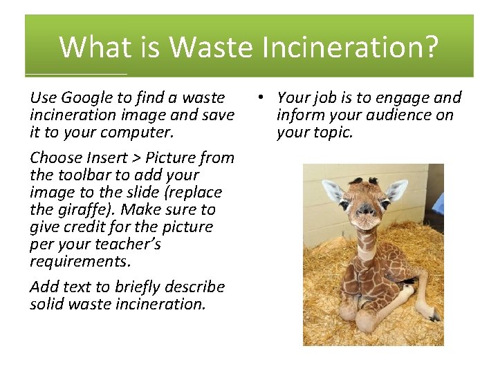 What is Waste Incineration? Use Google to find a waste incineration image and save