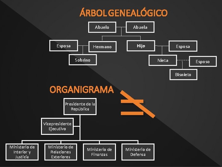 ÁRBOL GENEALÓGICO Esposa Abuelo Abuela Hermano Hijo Sobrino Esposa Nieta Esposo Bisnieto ORGANIGRAMA Presidente