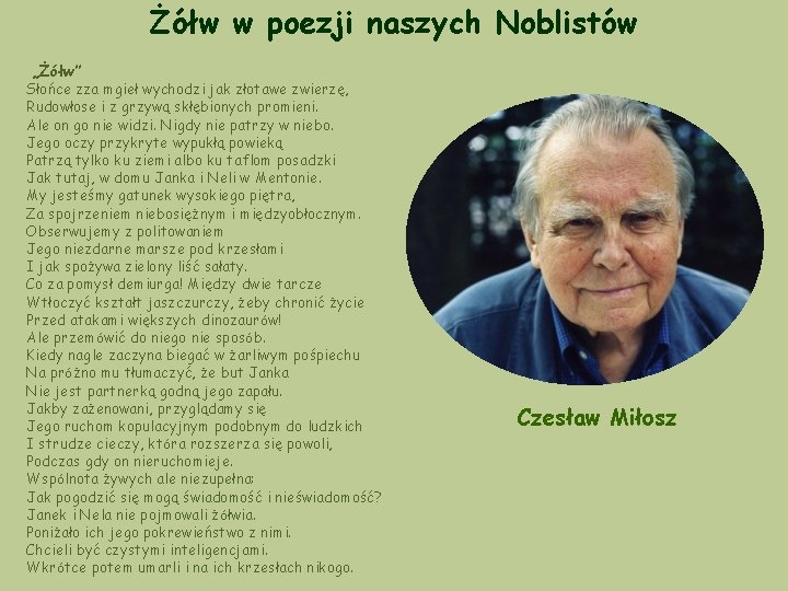 Żółw w poezji naszych Noblistów „Żółw” Słońce zza mgieł wychodzi jak złotawe zwierzę, Rudowłose