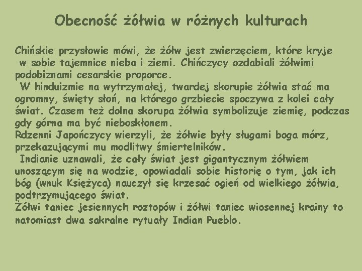 Obecność żółwia w różnych kulturach Chińskie przysłowie mówi, że żółw jest zwierzęciem, które kryje