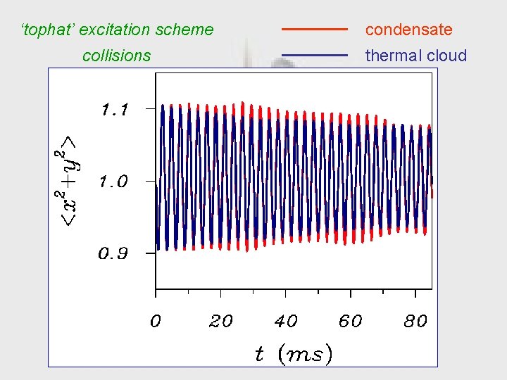 ‘tophat’ excitation scheme collisions condensate thermal cloud 