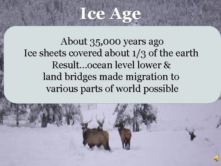 Ice Age About 35, 000 years ago Ice sheets covered about 1/3 of the